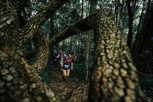 BIB: 
                            <button type="button" onclick="openModal(25676074)" class="btn btn-primary btn-sm float-right btn-popup" data-toggle="modal" data-target=".modal-high-quality">
                        <i class="fas fa-shopping-cart"></i> Add to Cart
                    </button>
                                            <button type="button" onclick="isThisMe(25676074, true)" class="btn btn-success btn-sm float-right btn-popup btn-isme hidden" data-toggle="tooltip" data-placement="bottom" title="นี่คือรูปของคุณใช่ไหม คลิกที่นี่เพื่อเอาเข้าอัลบั้ม">
                        <i class="fas fa-plus"></i> Add to album
                    </button>
                    <button type="button" onclick="isThisMe(25676074, false)" class="btn btn-warning btn-sm float-right btn-popup btn-isnotme hidden">
                        <i class="fas fa-ban"></i> Remove from album
                    </button>